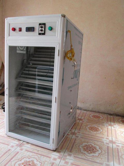 Máy ấp trứng gia cầm MB-300