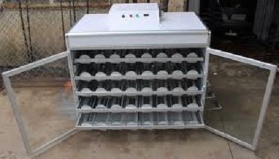 Máy ấp trung cấp MATC-1000N