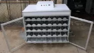 Máy ấp trung cấp MATC-1000N