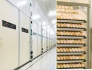 Máy ấp trứng gia cầm Minh Luận 5000T