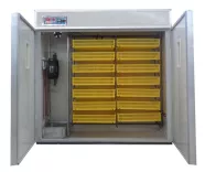 Máy ấp trứng Lin KN-1232