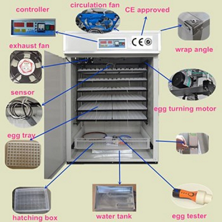 Máy ấp trứng Lin KN-1584