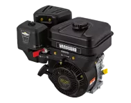 Động cơ xăng Briggs and Stratton BS 5.5 R (Vanguard)