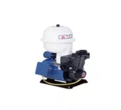 Máy bơm bánh răng tăng áp Walrus TP825P