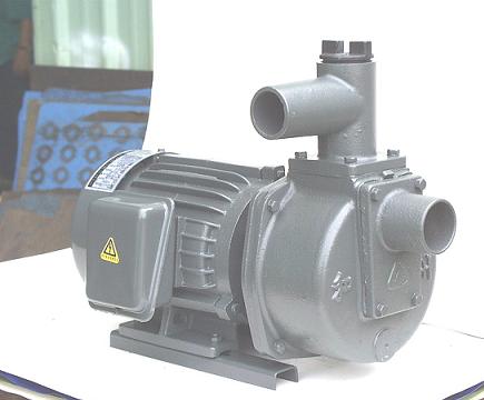 Máy bơm nước Teco HSP250-1.75 26 (Máy bơm tự hút trục ngang)