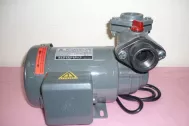 Máy bơm Teco NTP 225