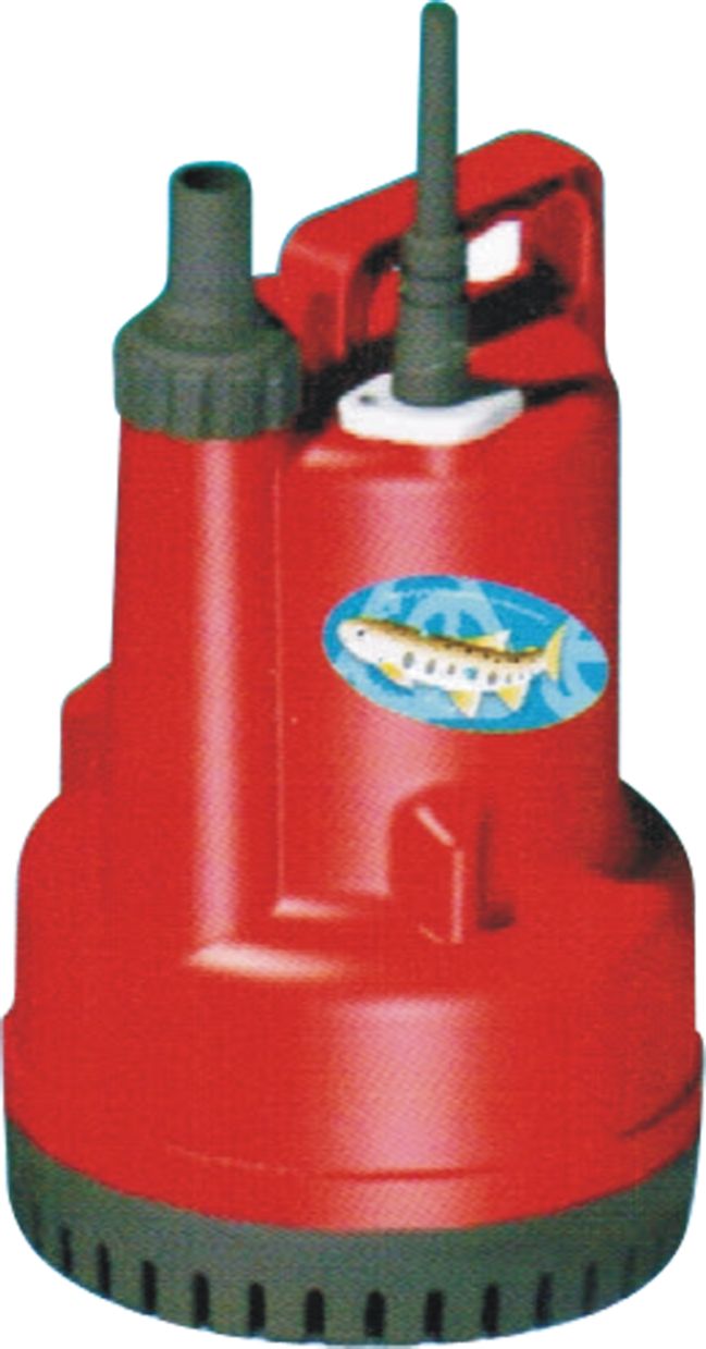 Máy bơm NTP JSM Nation Pump 220-1.10 26