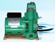 Máy bơm nước BDV PW 230E