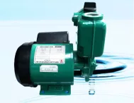 Máy bơm nước Wilo PW 126