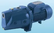 Máy bơm nước Pedrollo XJW M-3BM