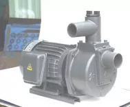 Bơm tự hút đầu gang Nation Pump HSP250-11.5 20