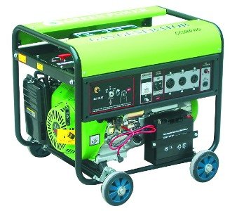 Máy phát điện Dynamic CC1200LPG (máy phát điện bằng Ga PLG)