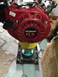 Máy đầm cóc chạy xăng honda GX 160
