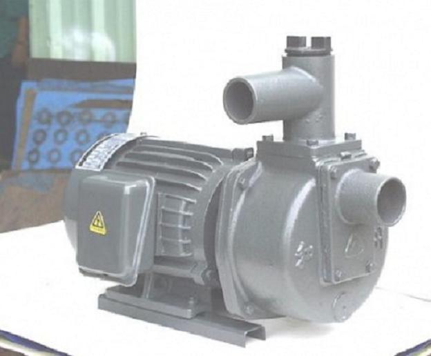 Máy bơm tự hút đầu Gang Nation Pump HSP250-11.5 26