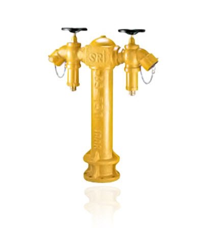 Trụ chữa cháy 2 họng Sri HYD056-CI-100-YW