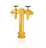 Trụ chữa cháy 2 họng Sri HYD056-CI-100-YW 