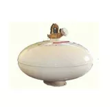 Bình chữa cháy tự động 3kg