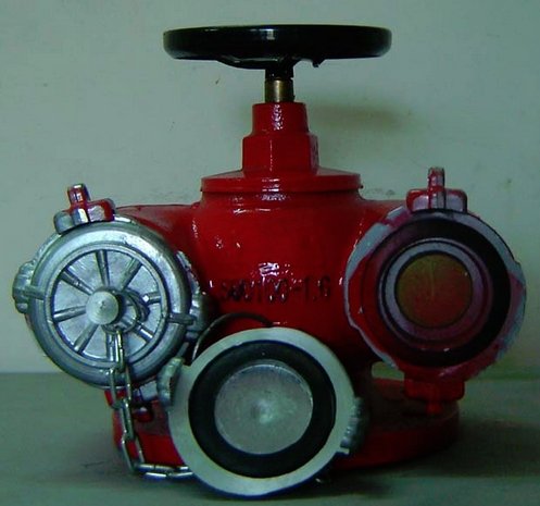 Họng tiếp nước chữa cháy SQD100-1.6