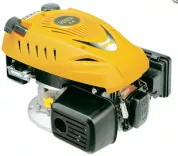 Động cơ xăng trục đứng RV160 5.5hp