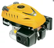 Động cơ xăng trục đứng Rato RV170 6