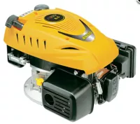 Động cơ xăng trục đứng Rato RV170 6