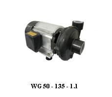 Bơm ly tâm đầu gang công suất: 1.1 KW(1.5 HP)