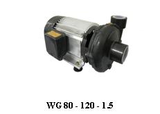 Bơm ly tâm đầu gang công suất: 1.5 KW( 2 HP)