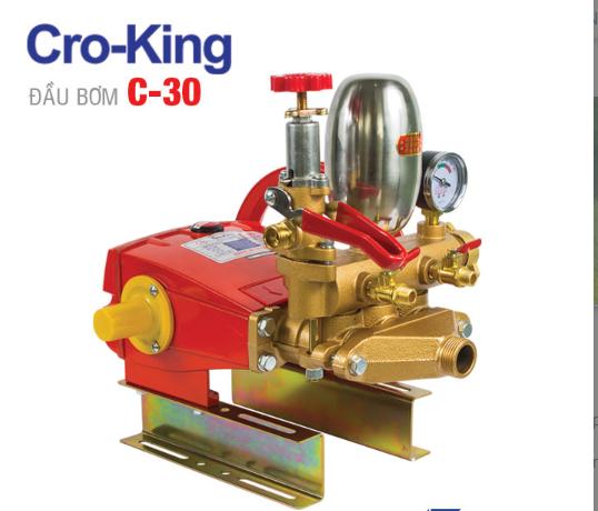 Đầu bơm Cro-king C-30 (2 Hp)