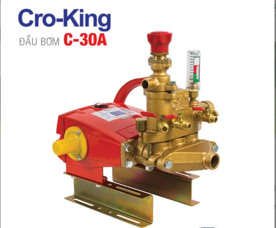 Đầu bơm Cro-king C-30A (2 Hp)