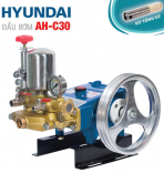 Đầu bơm AH-C30