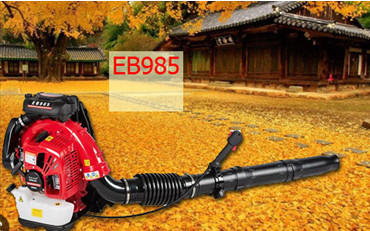 z5578382798979_443c97239973f5d20868d4d12384f087