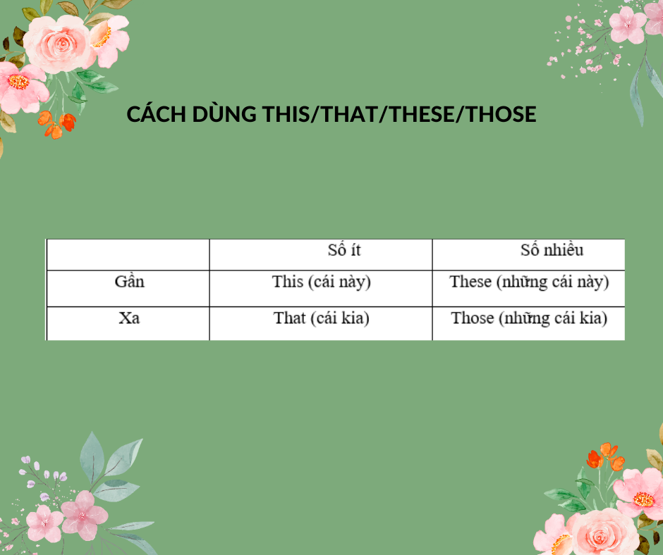 Cách Sử Dụng This That These Those Hiệu Quả - Bí Quyết Thành Thạo Tiếng Anh