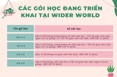 Các gói học liên kết đang triển khai tại Wider World