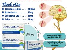 Natogreen Extra - hỗ trợ cải thiện tình trạng suy giảm nhận thức sau tai biến mạch máu não do tắc mạch