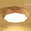 n Ốp Trần Gỗ Đa Giác DGT-5010 - Đường Kính 55cm - 3 Chế Độ Ánh Sáng - Energy Green Lighting - Bảo Hành 12 Tháng