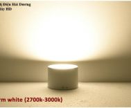 Đèn Downlight Lắp Nổi Ống Bơ 12W (Thân Đen-Trắng) - Energy Green Lighting