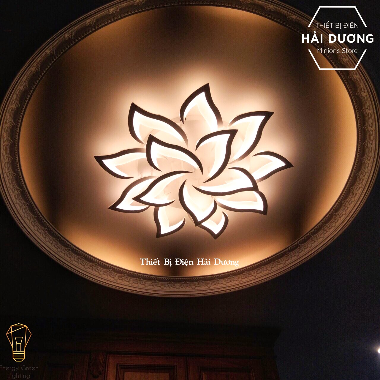 Đèn Ốp Trần Hiện Đại Decor 14 Tay NT-038