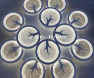 Đèn Ốp Trần Hiện Đại Decor 12 Hoa Pha Lê NT031