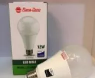Bóng đèn Led Bulb Rạng Đông A70N1-12W