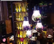 Bộ 4 Đèn thả trang trí hình bóng led TN559