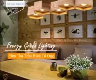 Đèn Thả Trần Gỗ Hình Tổ Ong Phong Cách Bắc Âu - 5 Đèn Chiếu Sáng - Ánh Sáng Vàng - Energy Green Lighting