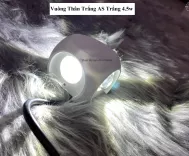 Đèn trang trí hắt tường 4 chiều - 12w chống nước TN198 - Decor Lighting