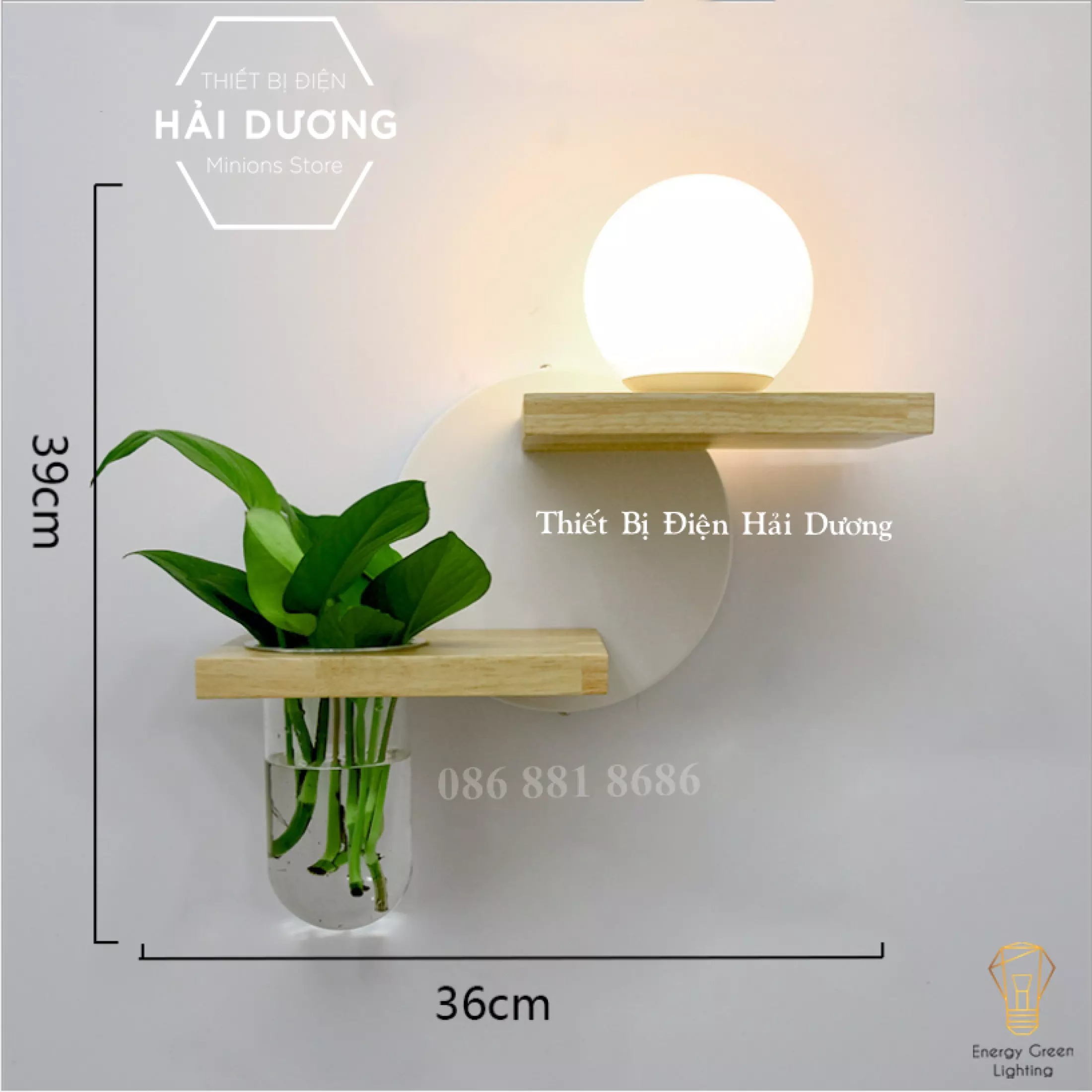 Đèn Tường Kệ Gỗ Chao Thủy Tinh Hiện Đại DT-3639 - Trang Trí Căn Phòng - Energy Green Lighting - Đã Bao Gồm Bóng LED 3W - Có Video thực tế