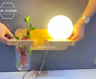 Đèn Tường Kệ Gỗ Chao Thủy Tinh Hiện Đại DT-3019 - Trang Trí Căn Phòng - Energy Green Lighting - Đã Bao Gồm Bóng LED 3W - Có Video thực tế