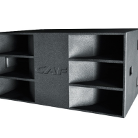Loa Hội Trường Array TSW 218