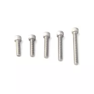 Ốc lục giác chìm đầu trụ inox 304 M3 M4 M6 M8 M10