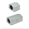 con trượt scs