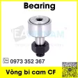 Vòng-bi-cf-cam