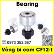 cf12-1