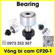 cf20-1